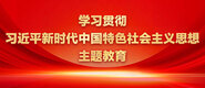 操逼视频看学习贯彻习近平新时代中国特色社会主义思想主题教育_fororder_ad-371X160(2)